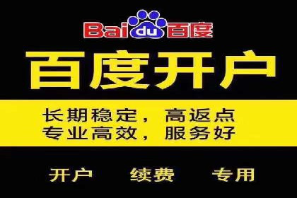 案例解析：揭秘高效竞价推广技巧